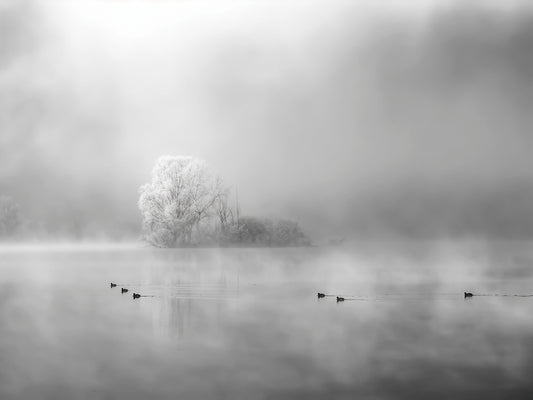 Main image Winter #11 - Hiver #11 Poster Photo Artistique pour Décoration Murale