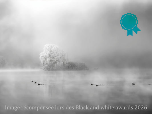Brume sur le lac Photo artistique pour décoration murale