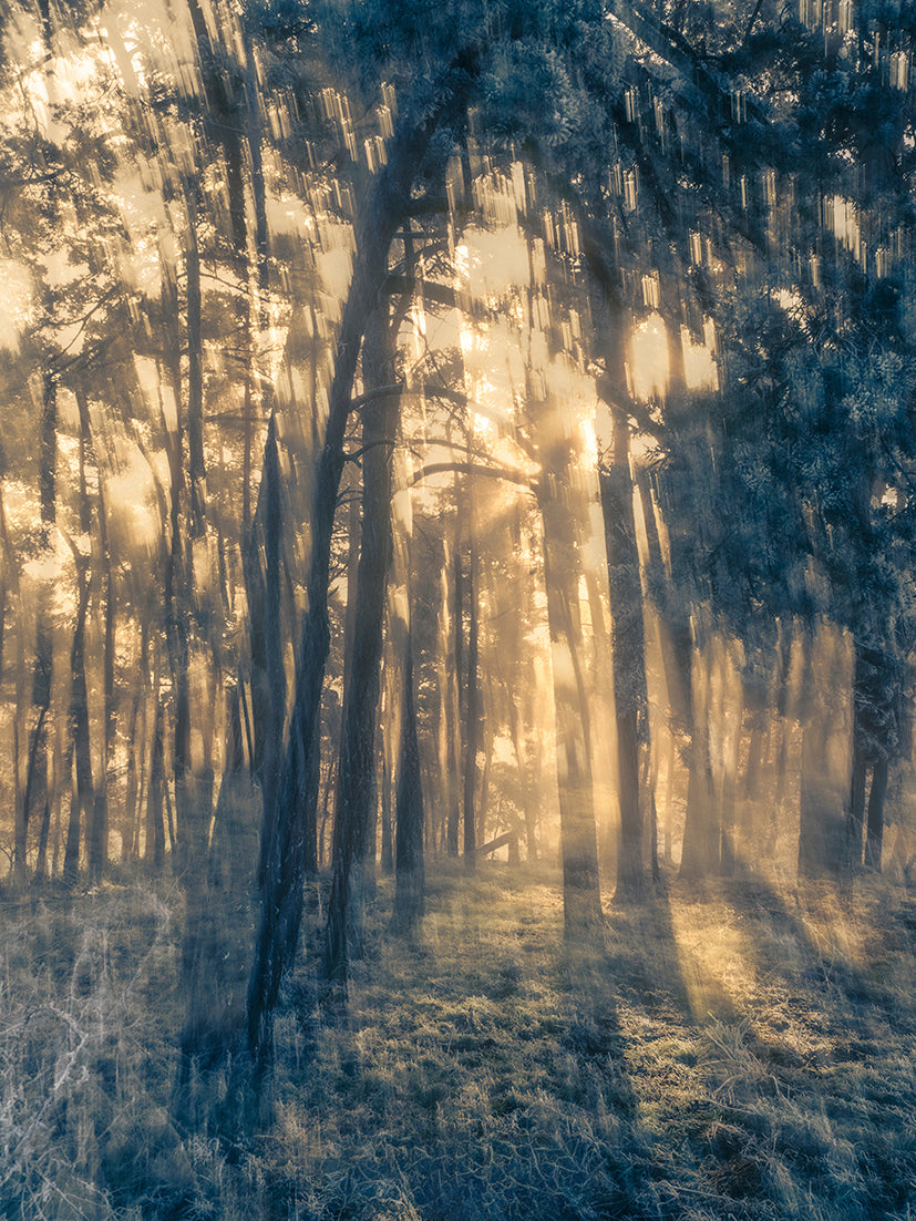 Mysterious light